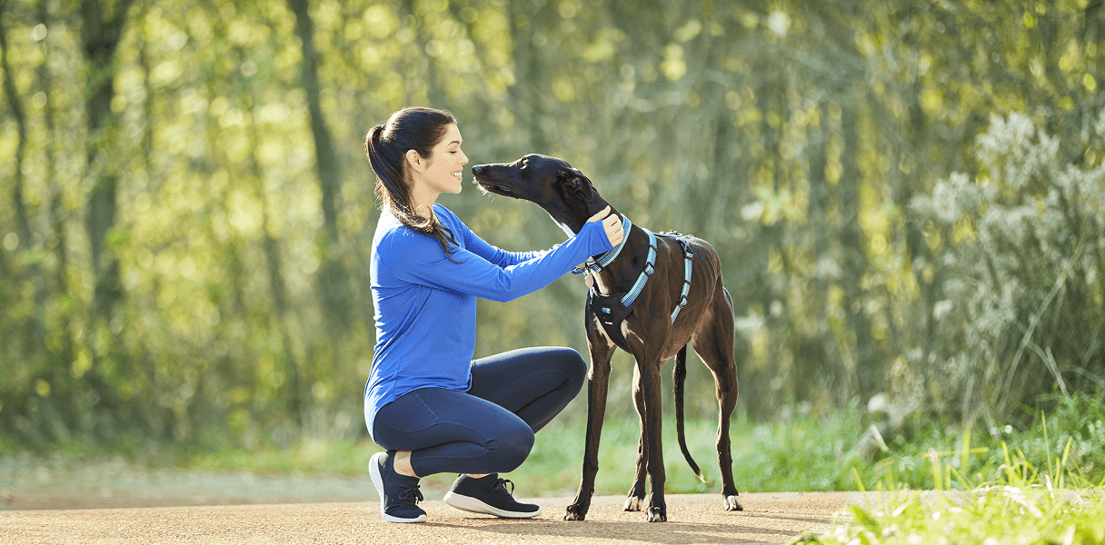 A woman sitting besides her brown greyhound pet dog