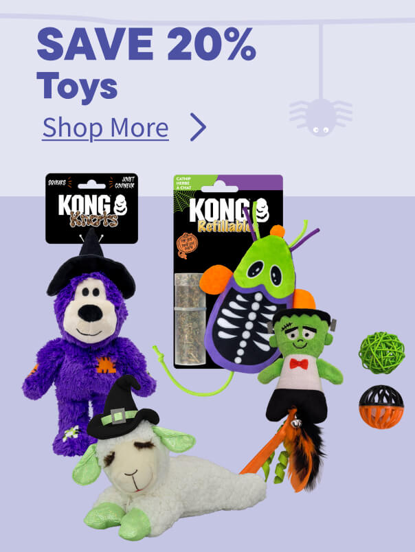 Halloween Toys