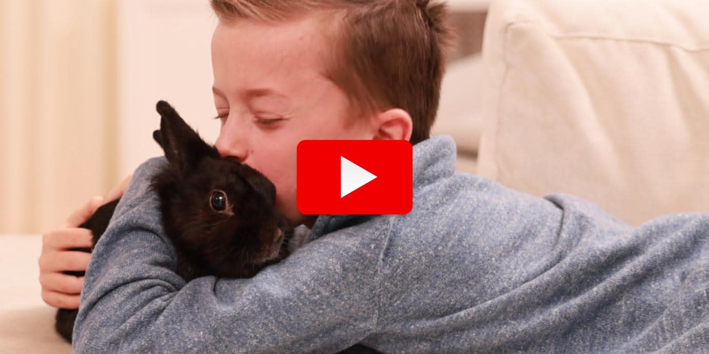 A boy with his pet rabbit