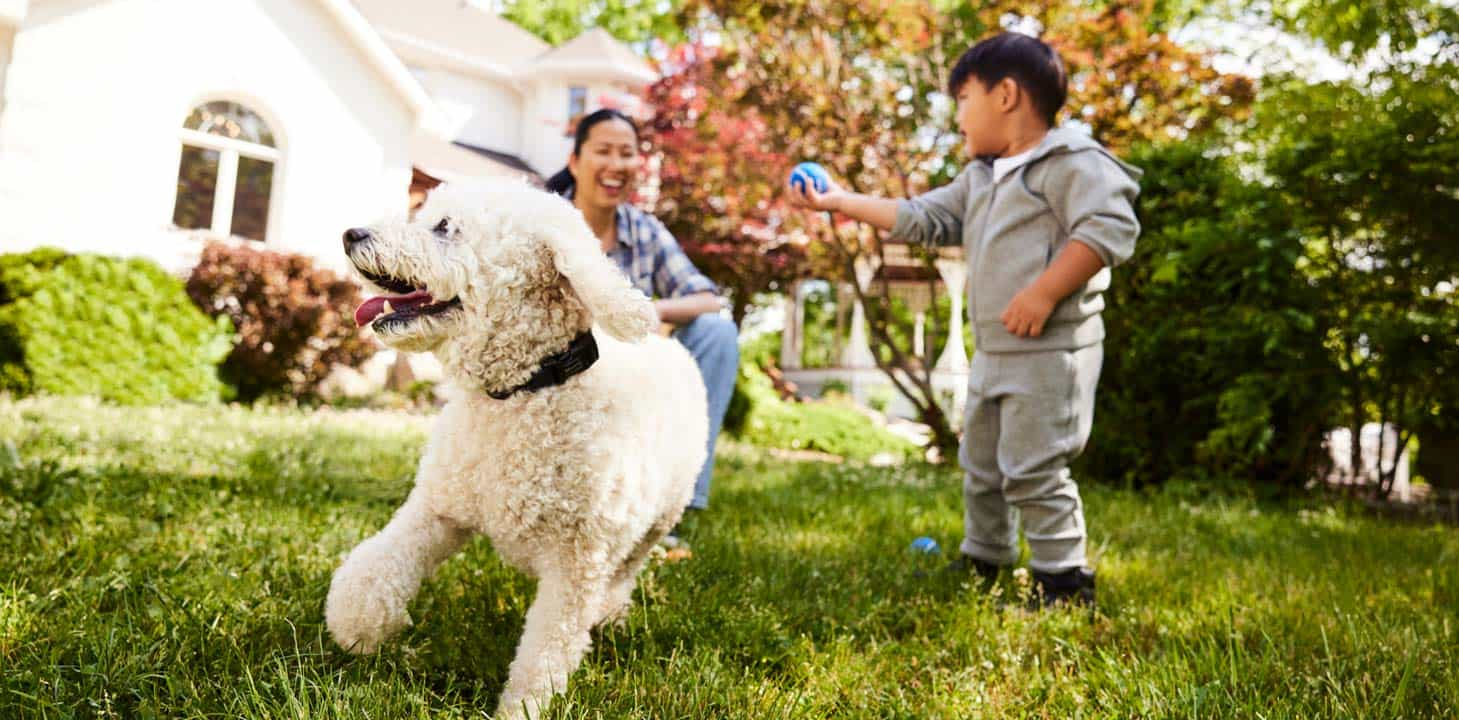 Mom and son throw a ball on their lawn for their white dog