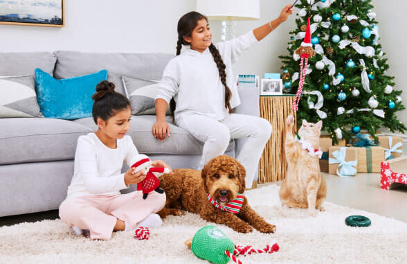 Top 2024 holiday gift trends for dogs and cats