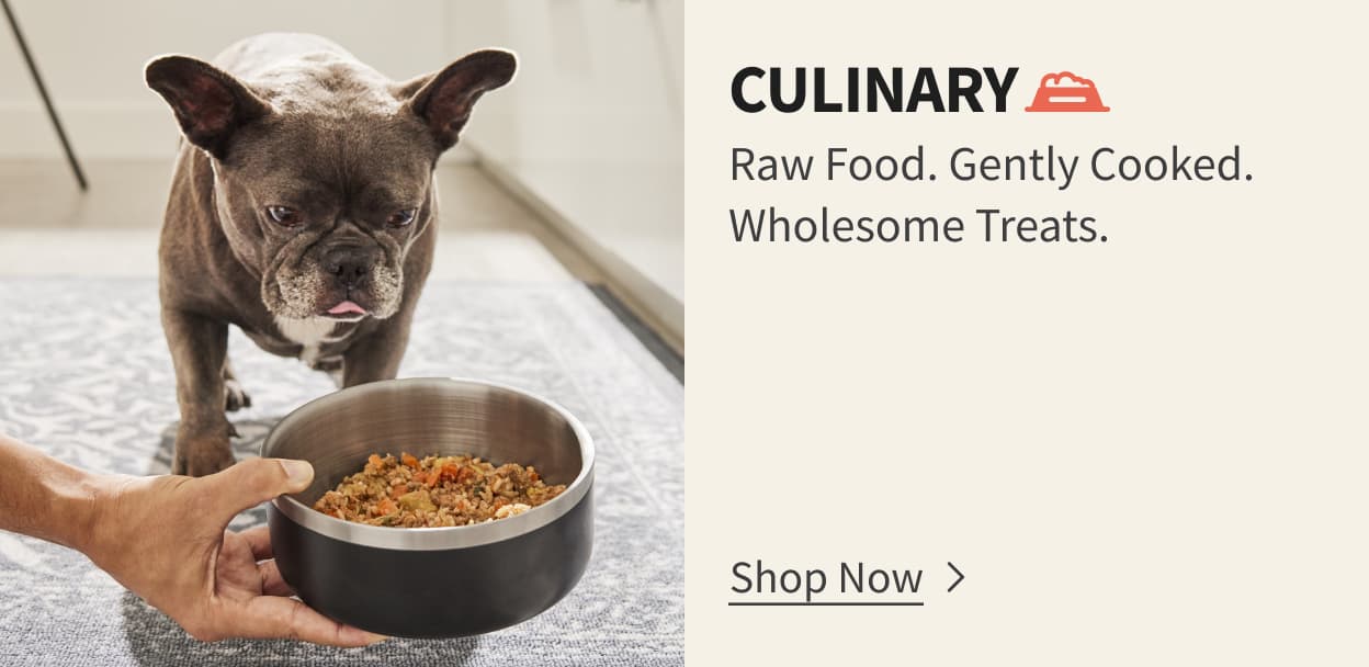 Culinary. Raw Food. Gently Cooked. Wholesome Treats. Shop Now