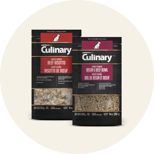 Gently Cooked Dog Food