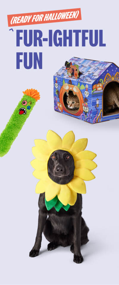 Review Contest Banner Reptile