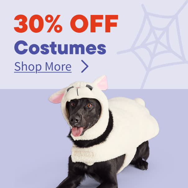 Halloween Costumes