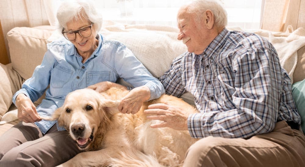 Senior couple having a chat while sitting with their pet dog on sofa at home.