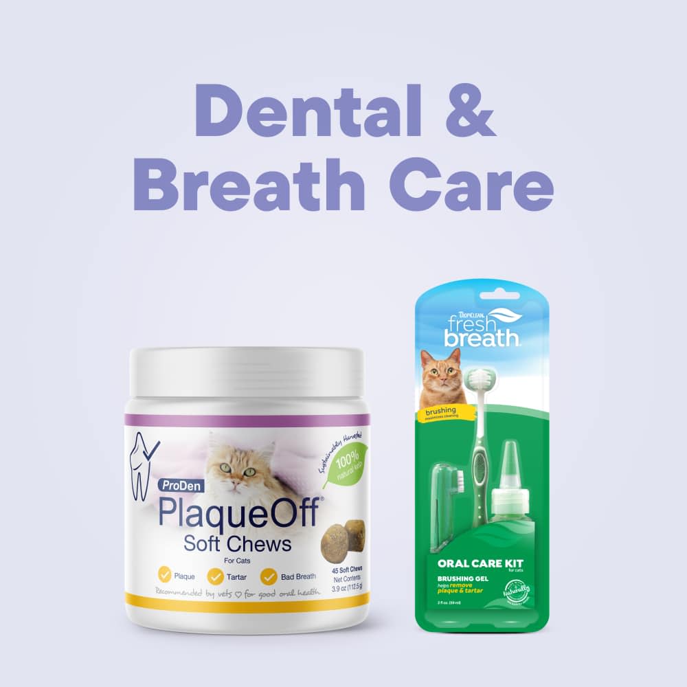 Dental and Breath Care