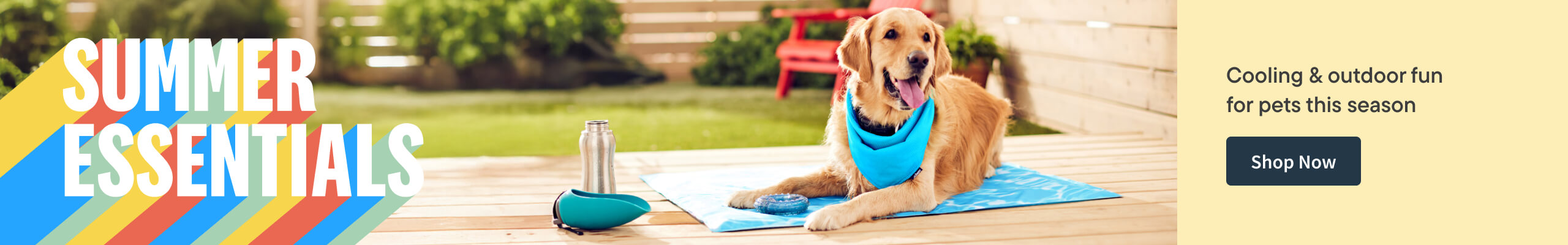 Summer Essentials, Cooling & Outdoor fun for pets this season