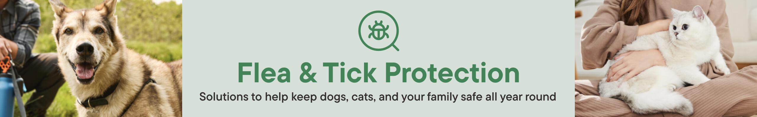 Flea and Tick Protection.