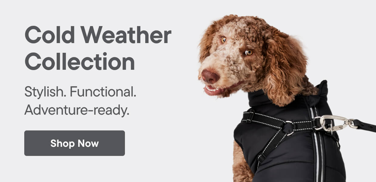 Bailey & Bella - Cold Weather Collection - Shop Now