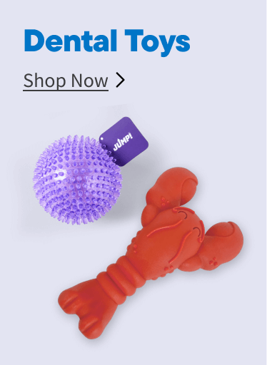 Dental Toys