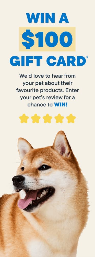 Review Contest Banner Dog