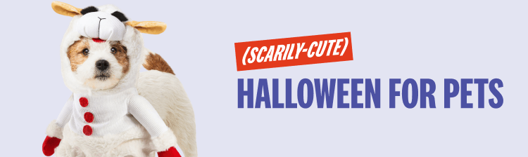 Halloween Banner