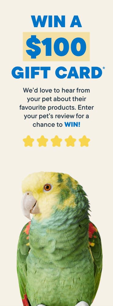 Review Contest Banner Bird