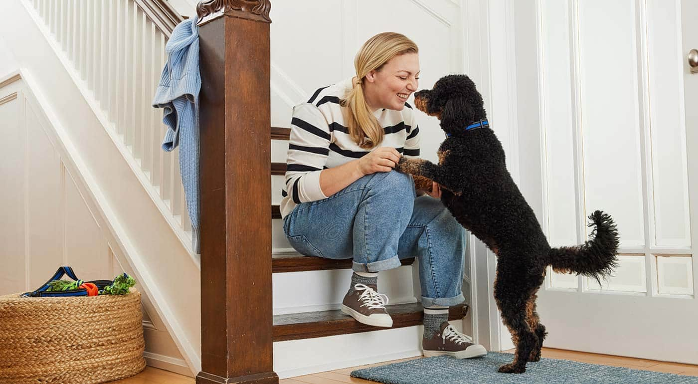 DPL seated on their stair case shares some love and laughs with pet dog.