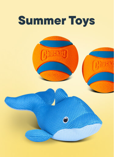 Summer Toys