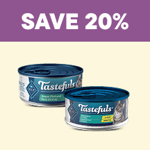 Cat Flyer 1 - Save 20%