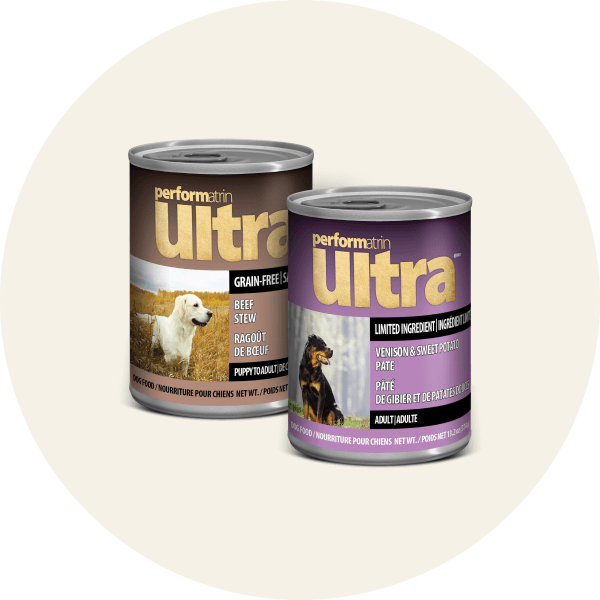 Wet Dog Food