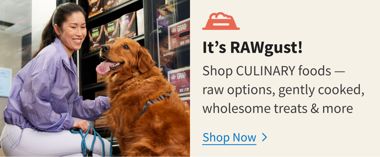 It's RAWgust!​ Shop Culinary foods - raw options, gently cooked, wholesome treats & more. Shop Now
