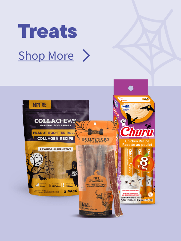 Halloween Treats