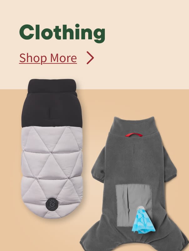 Fall Clothing