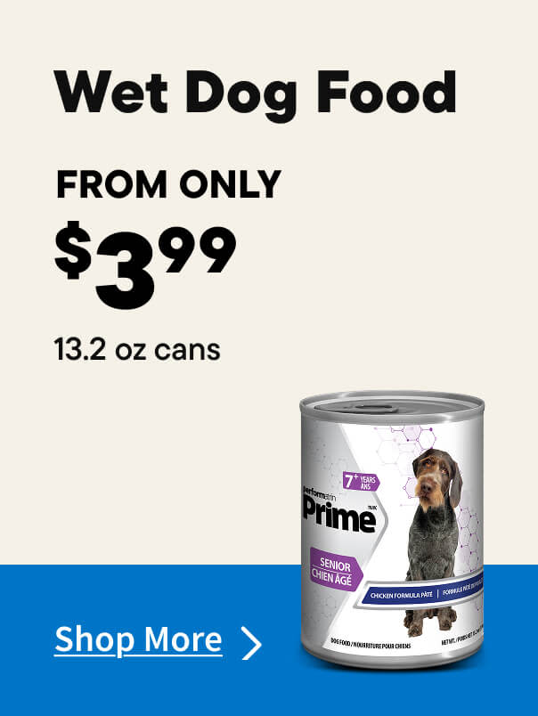 Wet Dog Food Sale