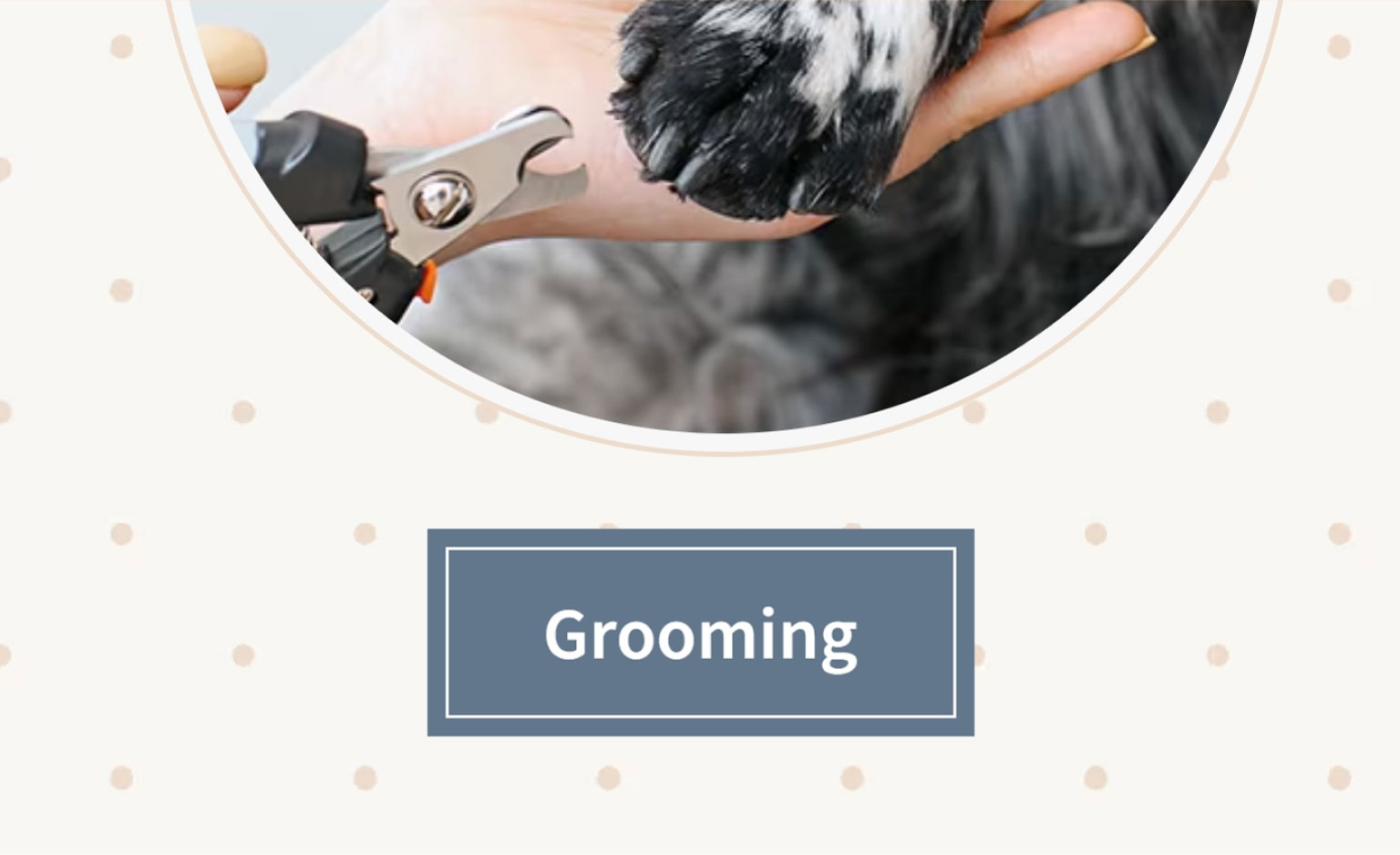 Pet Grooming at Pet Valu Get Professional Pet Care Services