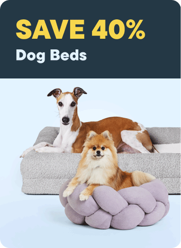 Save 40% on Dog Beds
