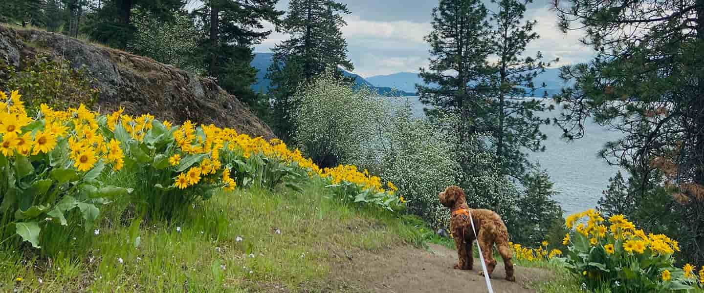 Let's Go Outside - Okanagan Valley, British Columbia