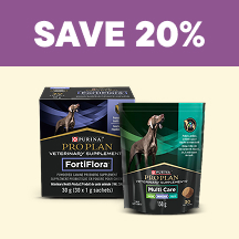 Dog  Flyer 2 - Save 20%
