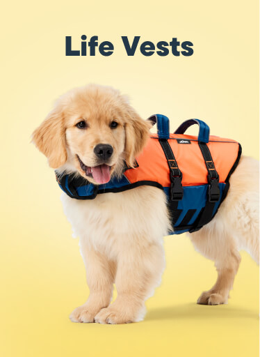 Life Vests