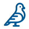 Bird Icon