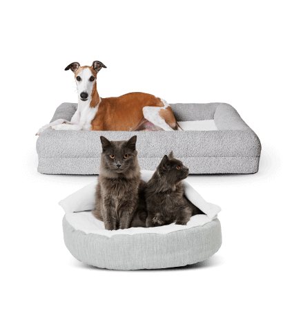 Dog and Cat Beds - Shop Now