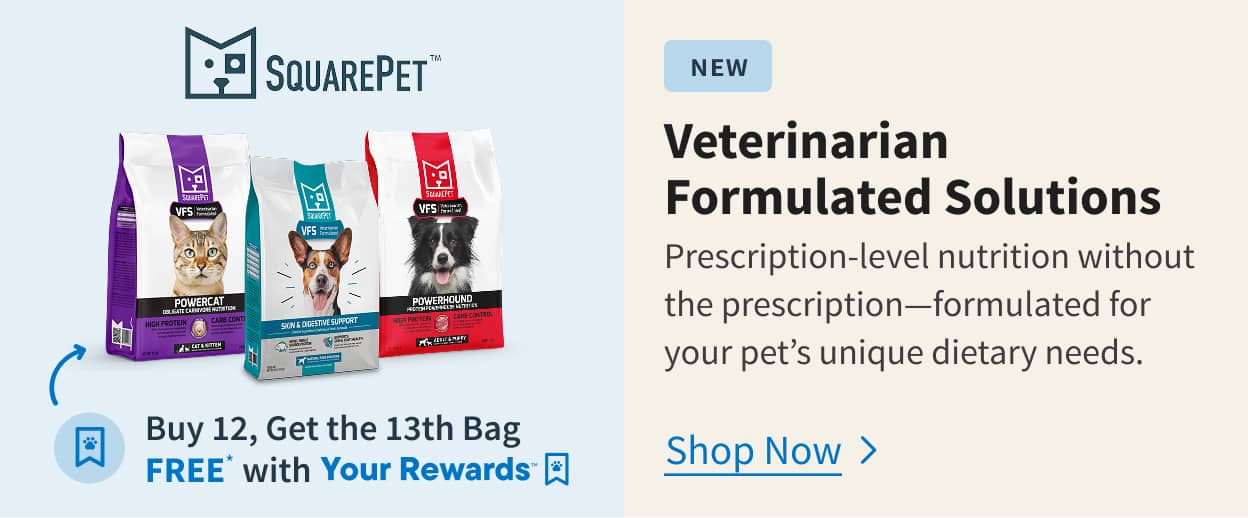 SquarePet Brand Promo