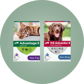 Shop Solutions - Topicals