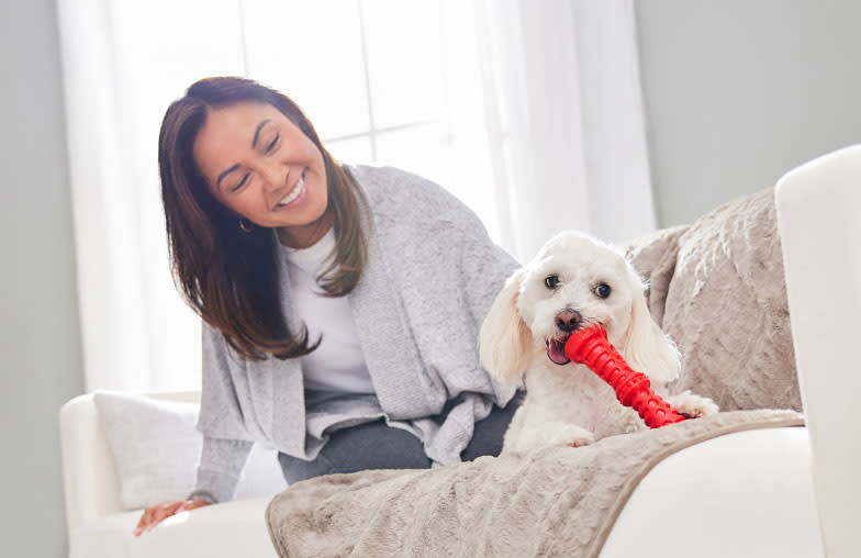 A white dog plays with a red toy next to their smiling DPL