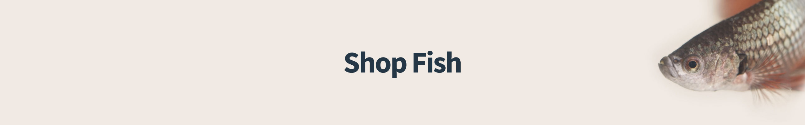 Shop by Pet - Fish Hero Banner