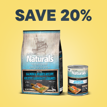 Dog - Top Deals Callout 1: Save 20%