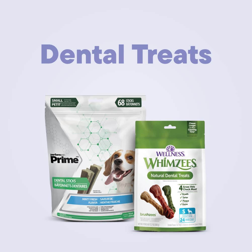 Dental Treats