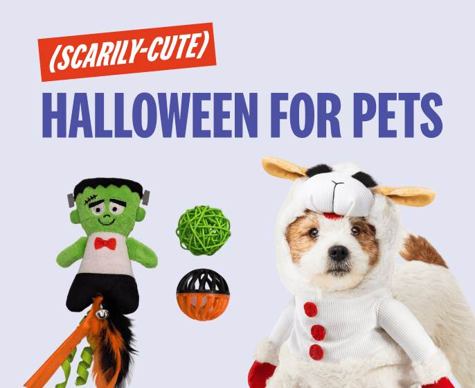 Halloween Banner