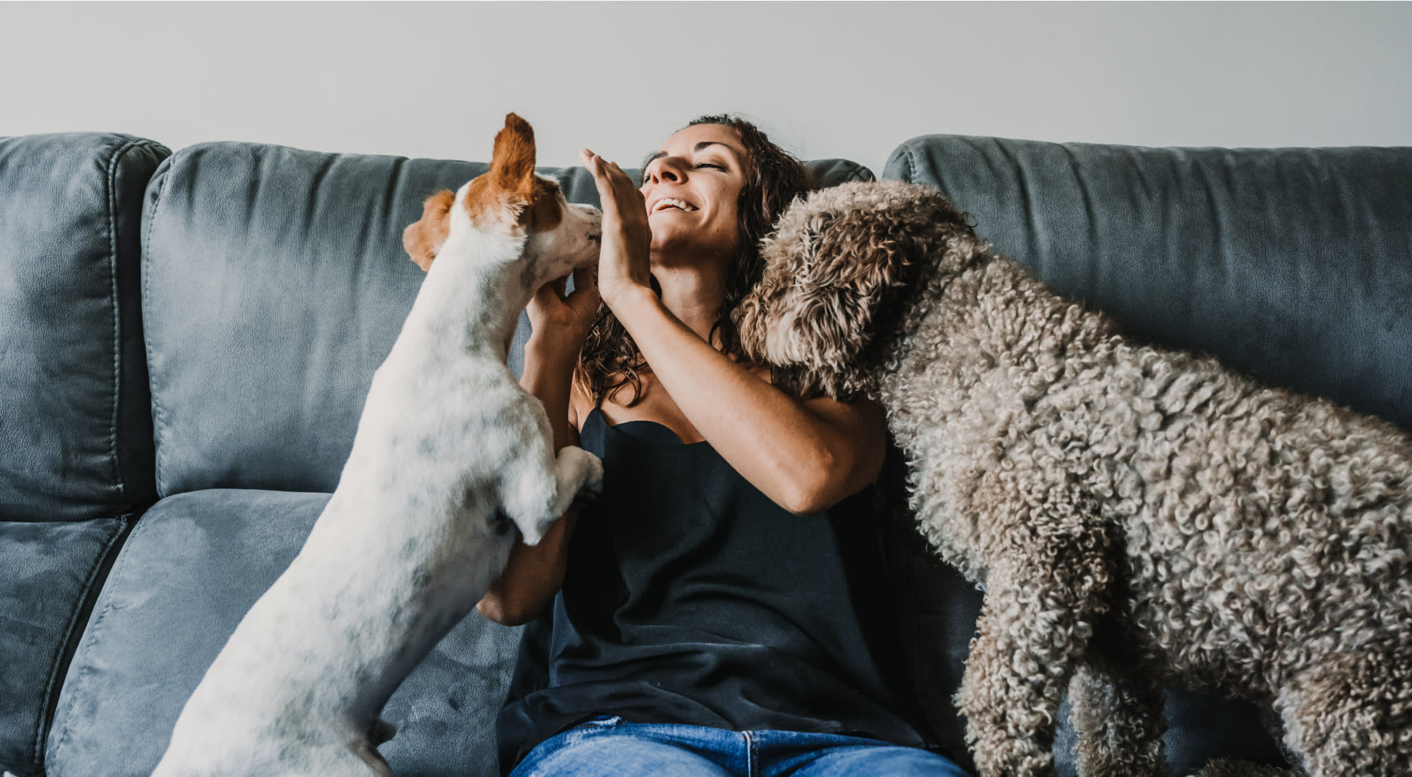 a DPL getting kisses and hugs from her two dogs on her couch.