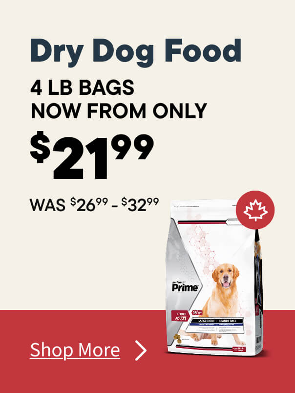 Dry Dog Food Sale