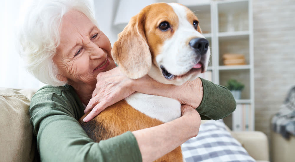 Senior woman hugs her dog while sitting on her couch at home