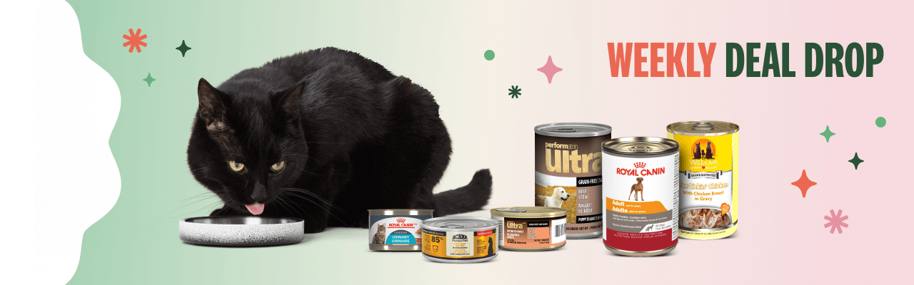 Save 25% off all Wet Food