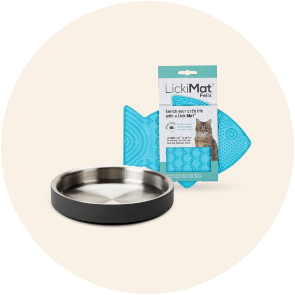 Bowls & Feeding Accessories