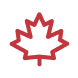 Canada Maple Leaf Icon