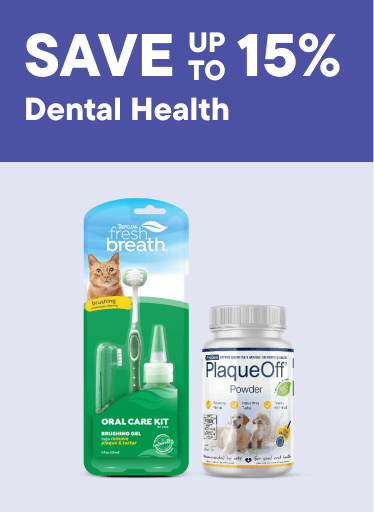 Dental Health – Save up to 15%