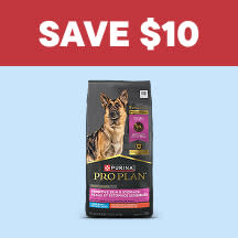 Dog - Category Sale Callout 2