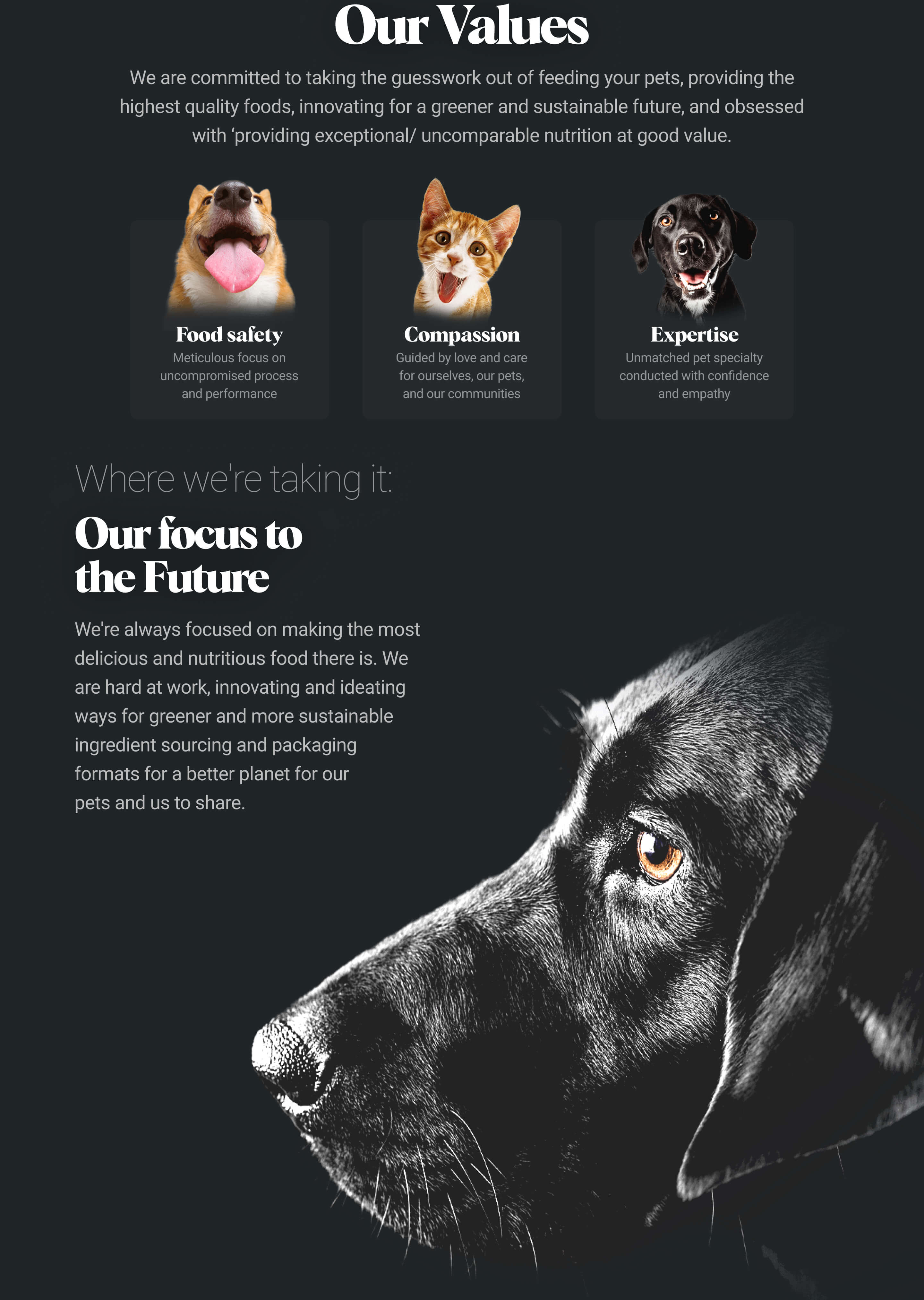 Performatrin About Us - Our Values