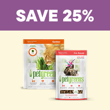 Cat Flyer 1 - Save 25%